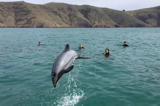 Akaroa Day Tour From Christchurch - Additional Tour Information