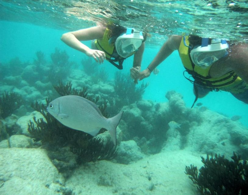 Akumal Beach: Swimming With Turtles Tour With Beach Time - Meeting Points