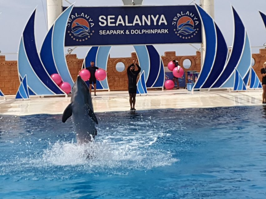 Alanya Dolphin Show Tour - Sealanya Dolphinpark - Location Details
