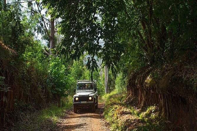 Alanya Jeep Safari Tour To Taurus Mountains (6 Activities in 1 Trip) - Traveler Feedback