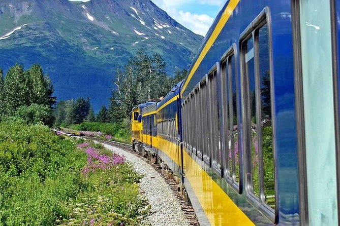 Alaska Railroad Denali to Anchorage One Way - Inclusions and Tour Guide Narration