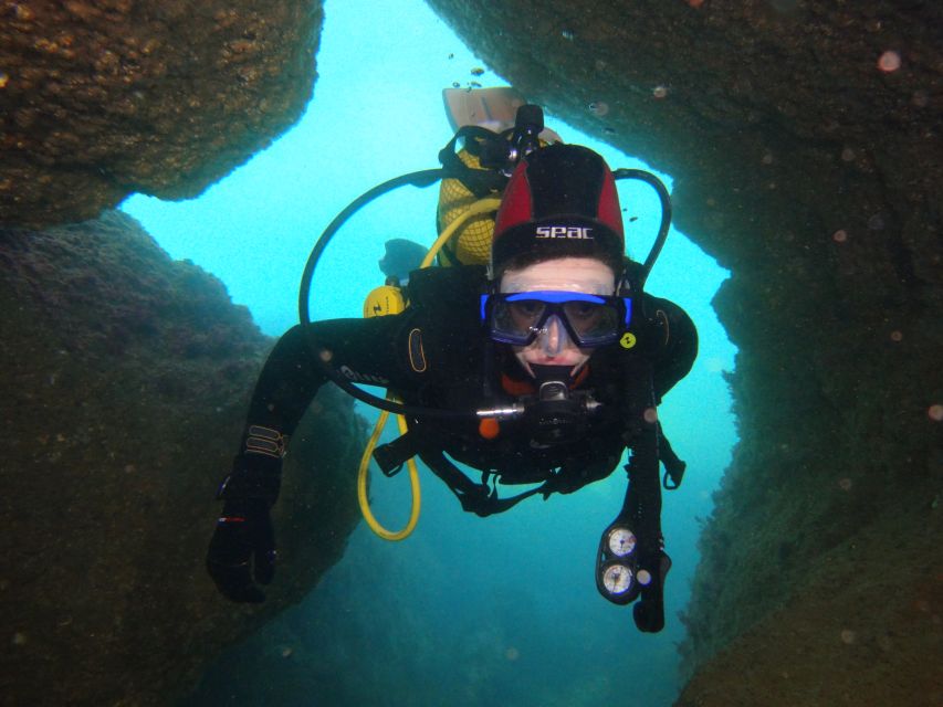 Albufeira: 2 DIVES TRIP (ONLY CERTIFIED DIVERS) - Customer Reviews