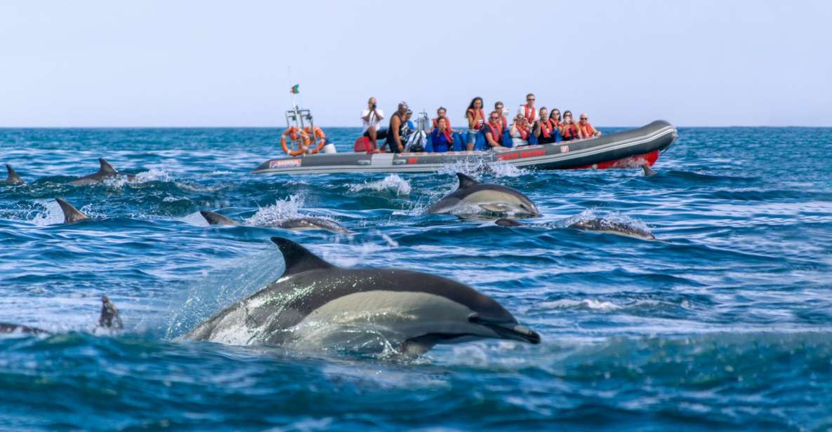 Albufeira: Dolphins, Benagil Caves and Coastline Boat Tour - Reservation Details