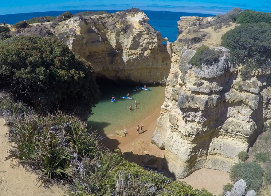 Albufeira: Stand-Up Paddle Boarding at Praia Da Coelha - Important Information for Participants