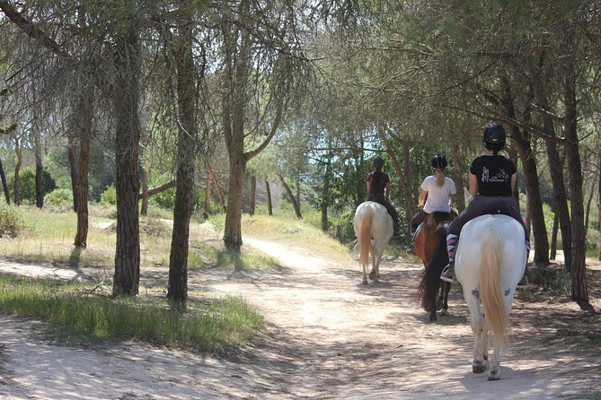 Algarve - Exclusive Horseriding in Portimao (No Experience Required) - Ideal Participants and Group Considerations