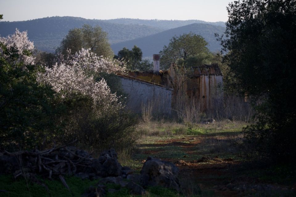 Algarve : the Hinterland in a Volvo XC90 SUV - Private Tour of White Villages