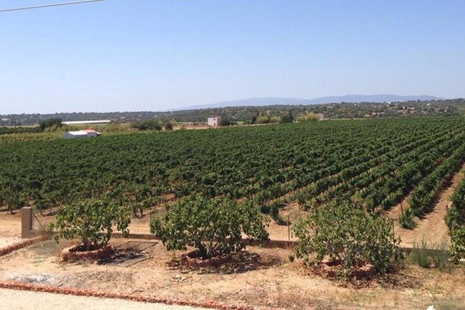 Algarve Wine Tour and Mountain Top Trip With Lunch or Dinner at Sunset Time - Directions