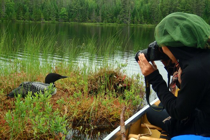 Algonquin Park 4-Day Luxury Moose/Beaver/Turtle Camping & Canoeing Adventure - Cancellation Policy and Refunds