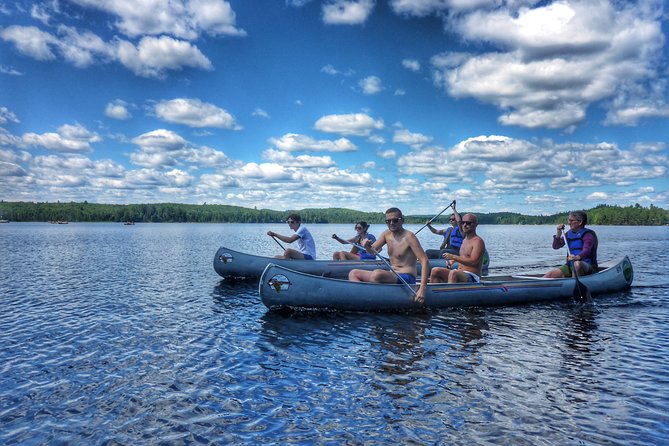 Algonquin Provincial Park Day Tour From Toronto - Language Accommodation and Communication