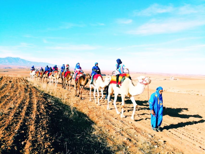 All-Inclusive Atlas Mountains & Agafay Trip With Camel Ride - Scenic Journey Details