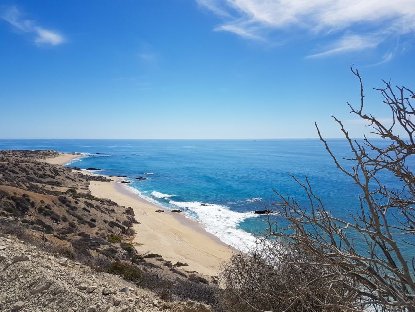 All-Inclusive Cabo Pulmo Jeep Tour - Activity Duration and Participant Requirements