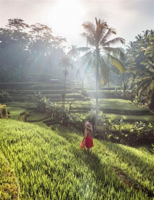 All Inclusive: Ubud Highlights Private Guided Tours - Customer Testimonials and Highlights