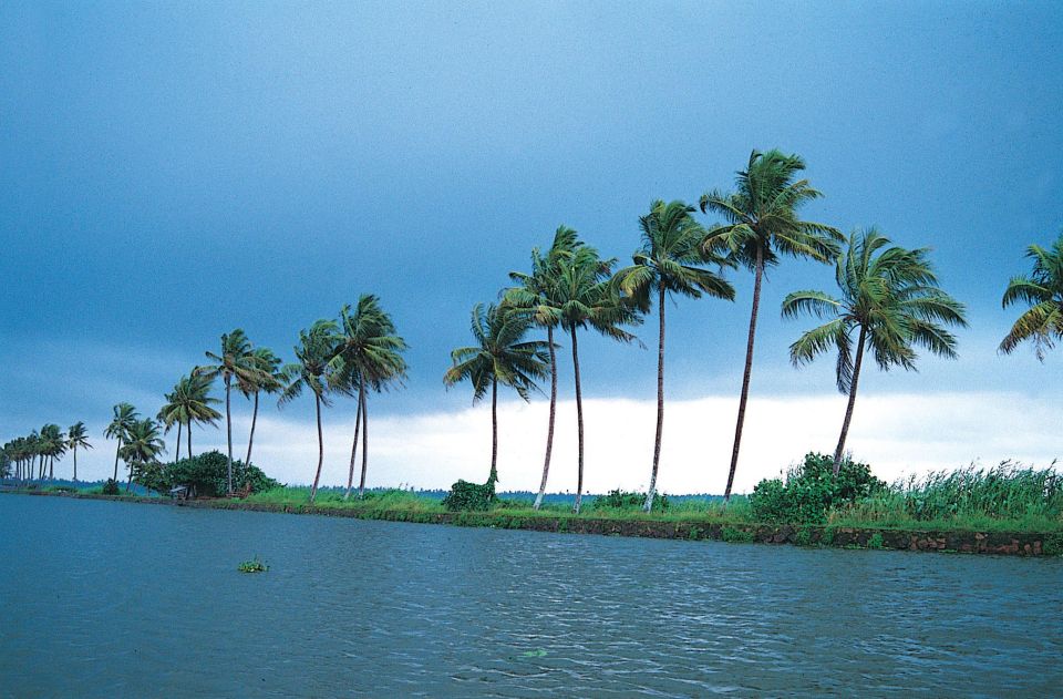 Alleppey Shikara Boat Ride - Engage With Local Culture and History