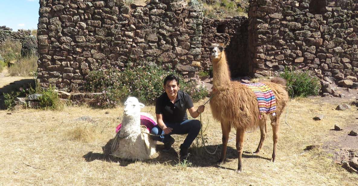 Alpaca Therapy and Healing With Clay - Experience Highlights