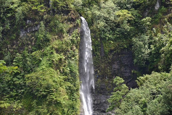 Amazing Attractions of Tahiti Charming Island – Private Half Day Circle Tour - Unique Experiences in Tahiti