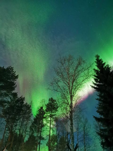 Amazing Aurora With BBQ in the Best Spot in Rovaniemi! - Inclusions