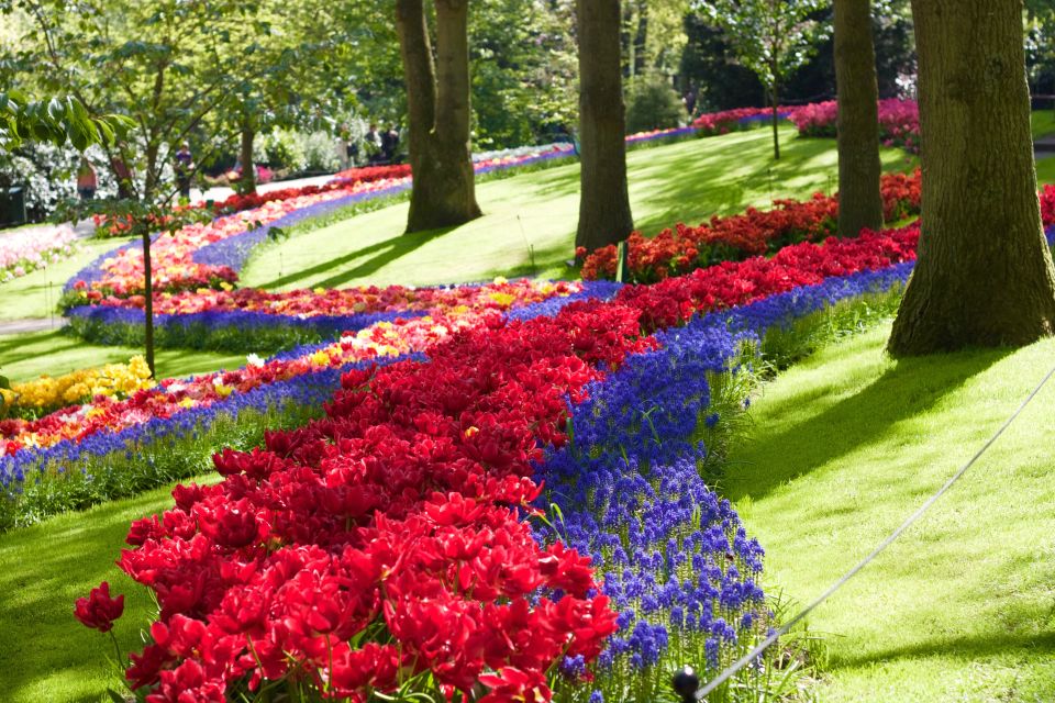 Amsterdam: Canal Cruise & Keukenhof Ticket With Shuttle Bus - Customer Reviews