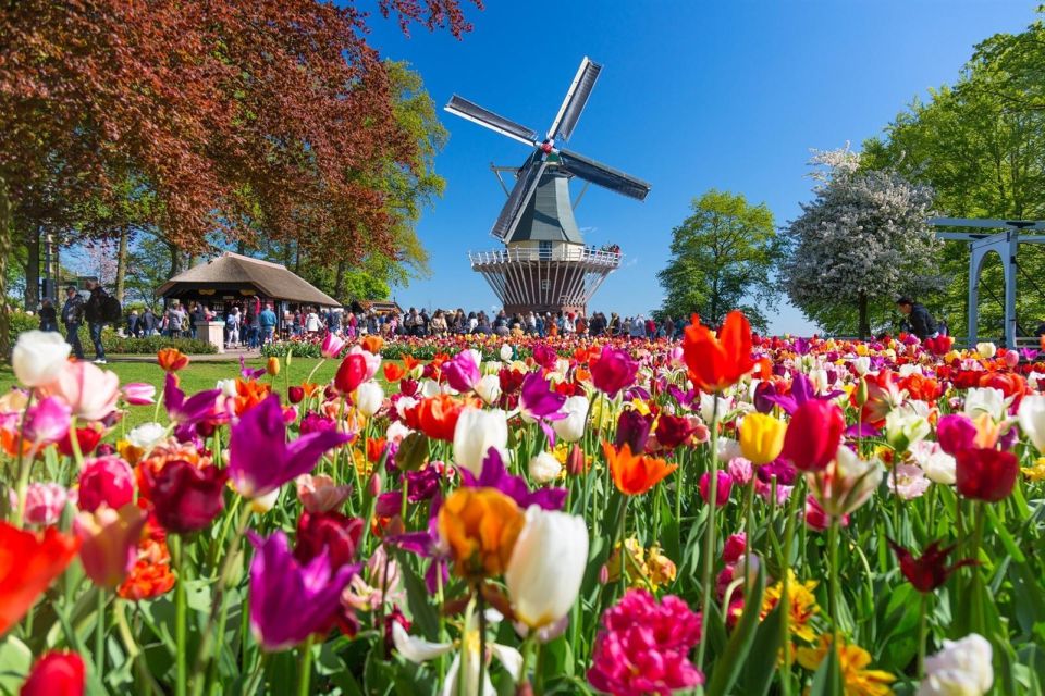 Amsterdam: Keukenhof and Zaanse Schans Windmills Day Trip - Customer Reviews