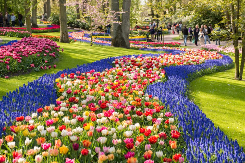 Amsterdam: Keukenhof Gardens Guided Tour Spanish and English - Booking Information