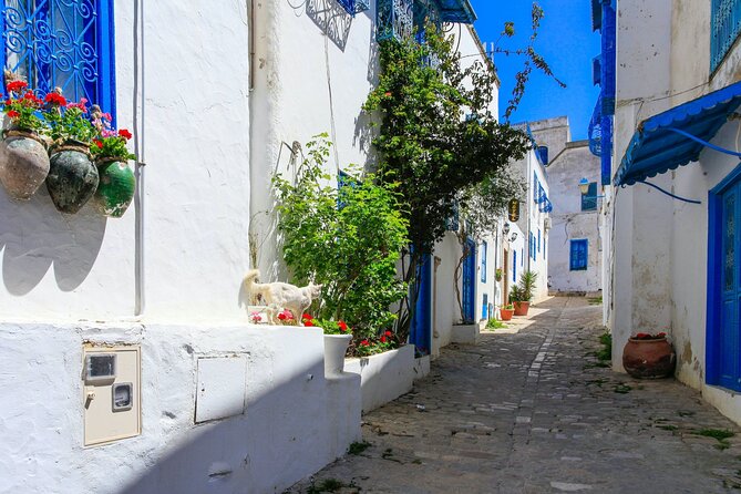 Ancient Carthage and Sidi Bou Said Half Day Tour With Lunch - Booking Information