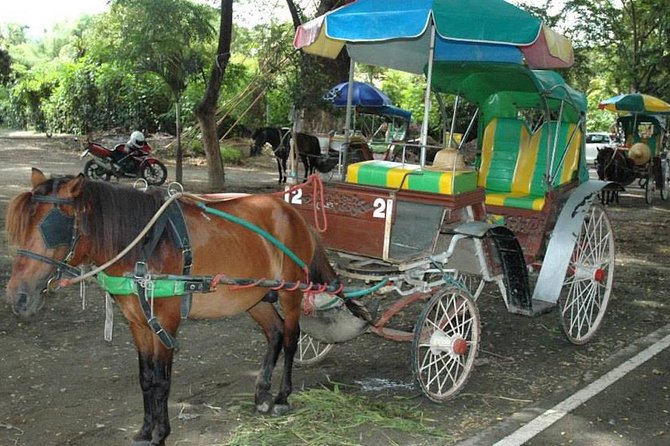 Ancient City of Wiang Kum Kam & Wat Chiang Man - Practical Information for Visitors