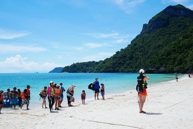 Ang Thong National Marine Park Tour by Big Boat From Koh Samui - Reviews and Recommendations Summary