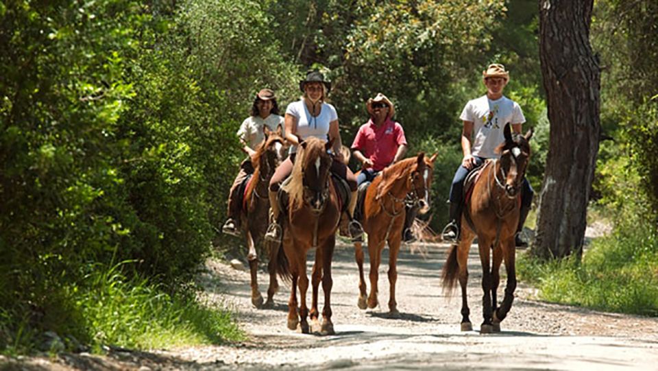 Antalya: Forest & Beach Horse Riding Safari - Overall Experience Rating