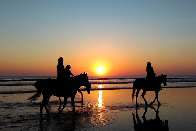 Antalya Horse Riding On Beach And Through The Forests For 2 Hours - Common questions