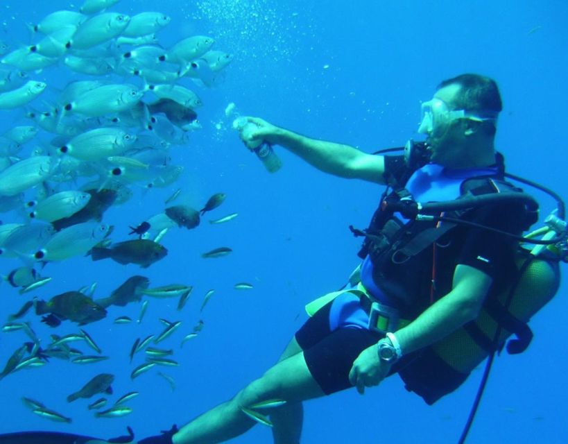 Antalya/Kemer: Scuba Diving With Pickup, Lunch, and 2 Dives - Reservation & Payment