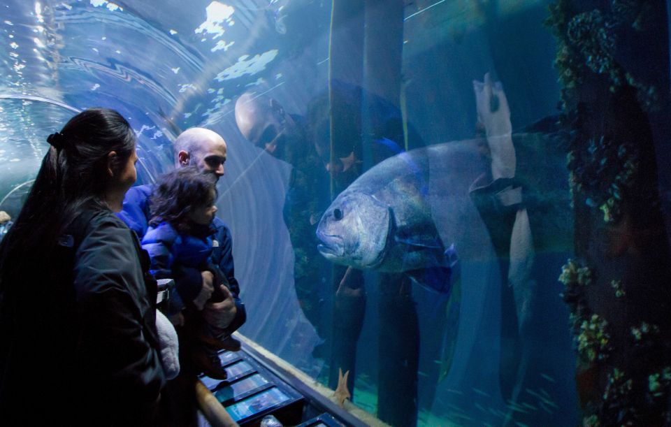 Aquarium of the Bay VIP Tour - Tour Recommendations