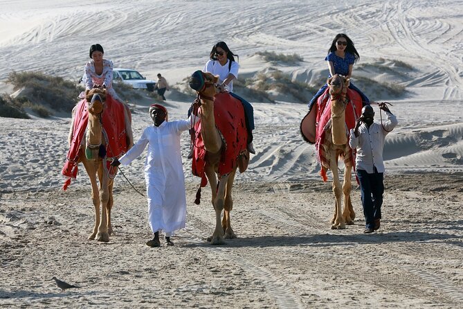 Arabian Sands Half-Day Adventure in Qatar - Safety and Guidelines