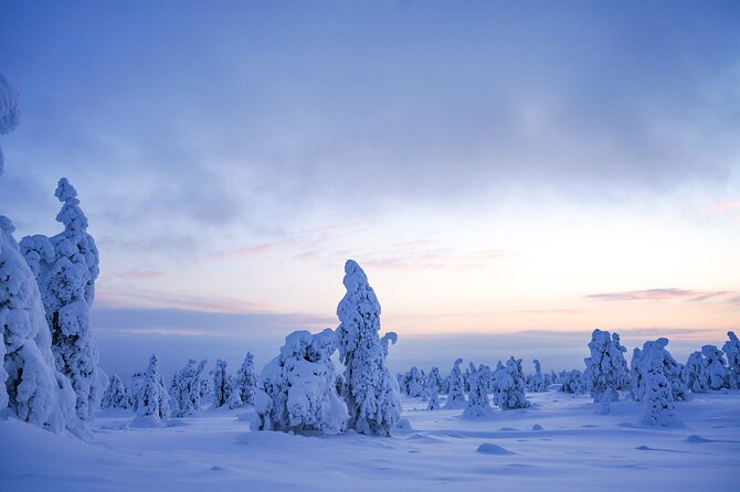 Arctic Adventure Through Magical Frozen Forests of Riisitunturi - Capturing the Magic: Photography Tips