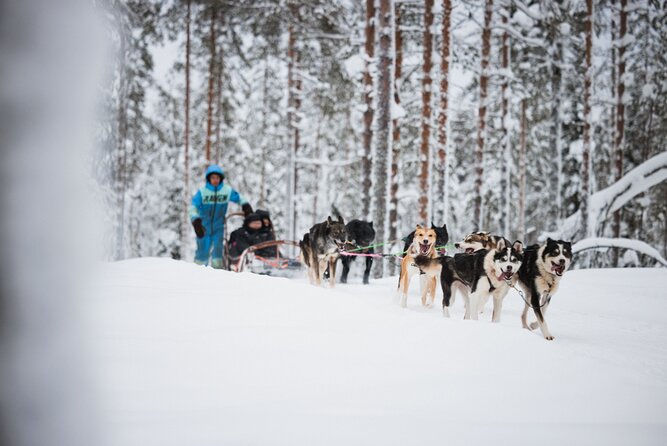 Arctic Circle Highlights Family Day By Minibus - Hassle-Free Transportation