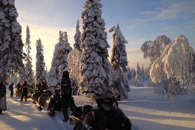 Arctic Snowmobile Tour to the Wilderness Lodge  - Rovaniemi - Price and Inclusions