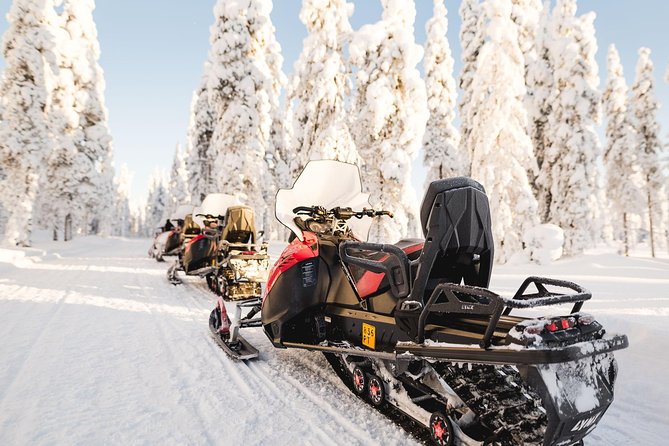 Arctic Wilderness Snowmobile Adventure With Lunch  - Rovaniemi - Traveler Photos