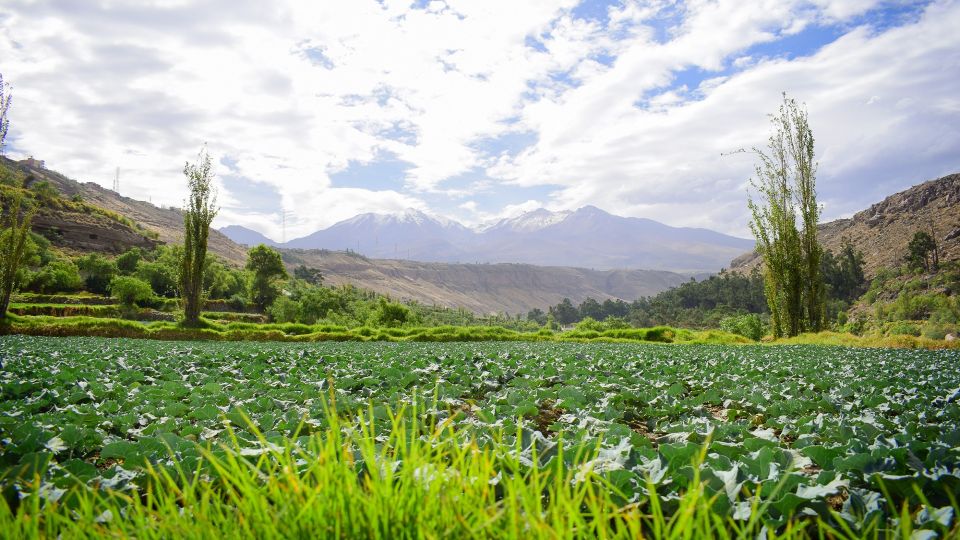 Arequipa: City Tour With Panoramic Bus - Reviews and Reliability