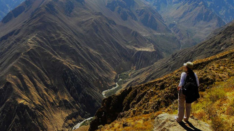 Arequipa & Colca Canyon Multi-Day Tour - Day 4 & Additional Information
