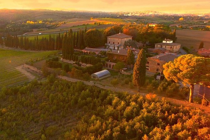 4 arezzo wine tasting experience in valdichiana area Arezzo: Wine Tasting Experience in Valdichiana Area