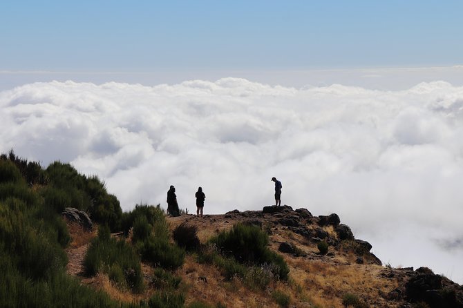 Arieiro Peak, Santo Da Serra and Cristo Rei 4x4 Experience - Assistance and Contact Info