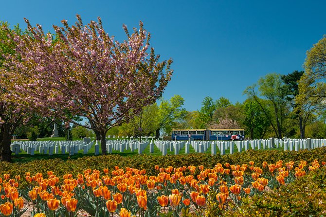 Arlington National Cemetery Hop-On Hop-Off Tour With Guide - Reviews & Visitor Feedback