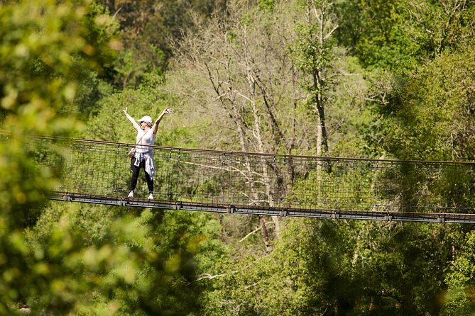 Arouca Suspension Bridge and Paiva Walkway Day Tour From Porto - Highlights and Feedback