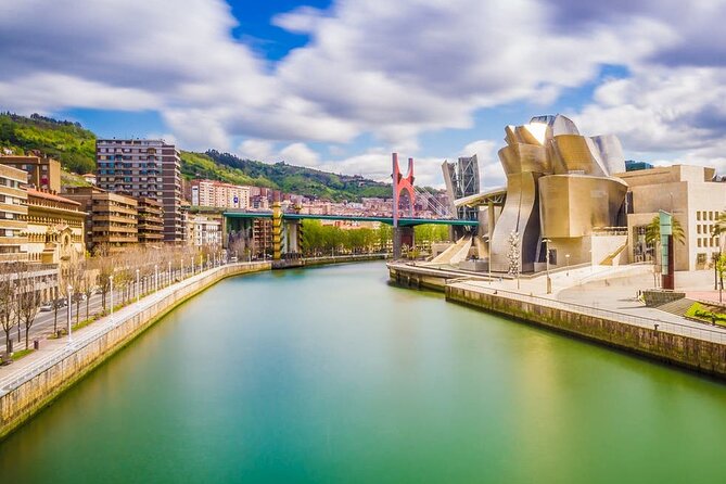 Arrival Private Transfers: Bilbao Airport BIO to Bilbao City in Luxury Van - Pricing & Legal Information