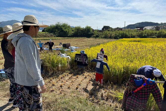 Art and Culture Welchon Fiesta Tour in Yeoncheon and Pocheon - Transportation and Logistics