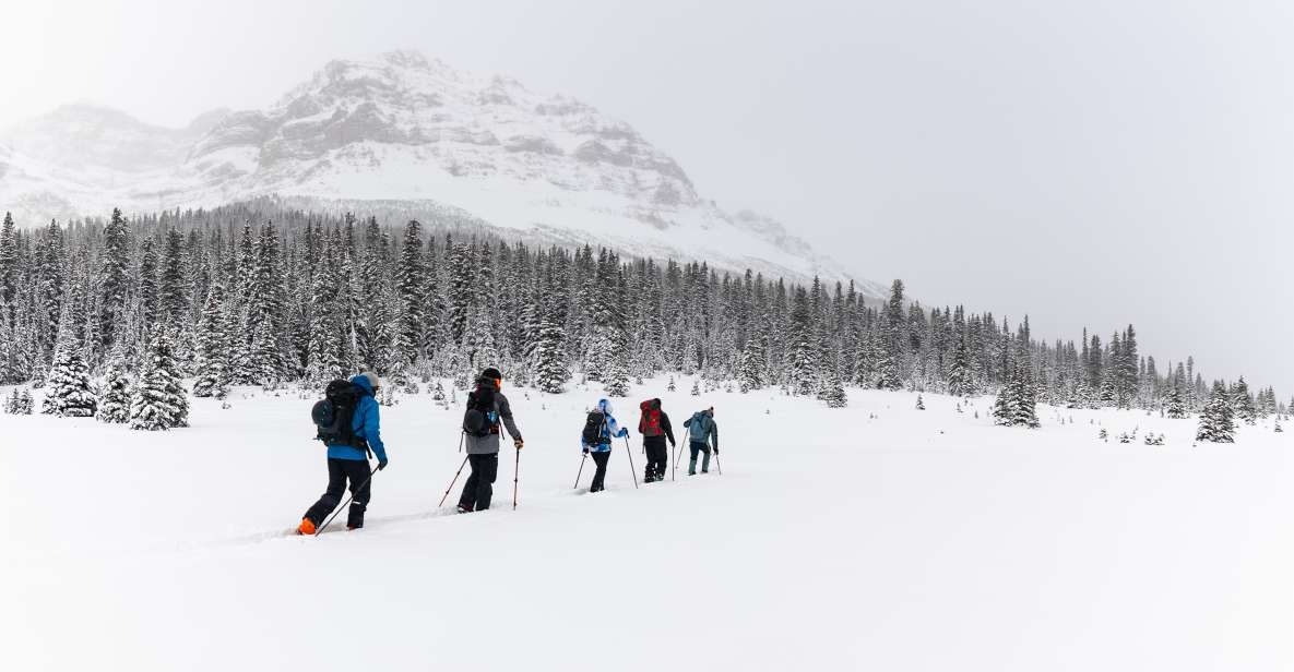 AST 1: Avalanche Skills Training Level 1 - Field Day Locations