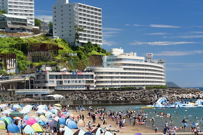 Atami Half-Day Private Tour With Government-Licensed Guide - Weather Contingency
