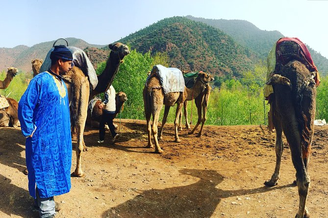 Atlas Mountains and Camel Ride Day Trip From Marrakech - What to Expect on the Tour