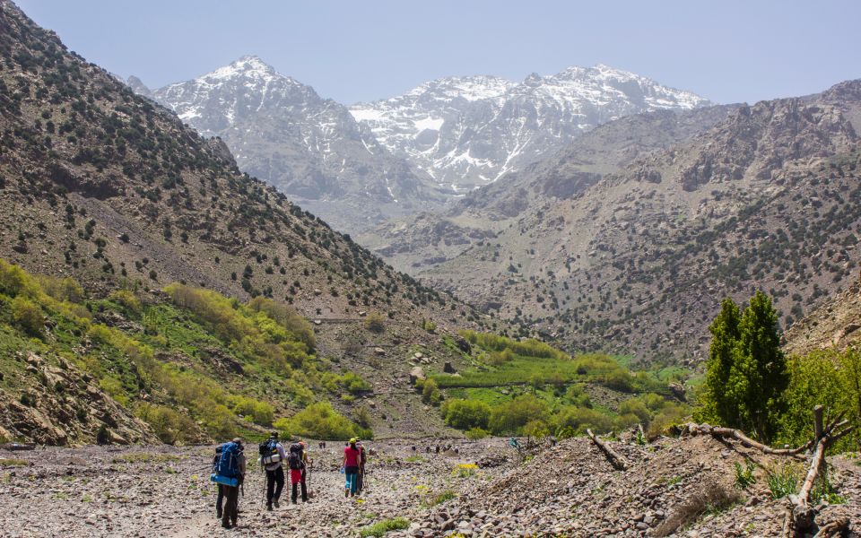 Atlas Mountains and Four Valleys Private Day Trip - Personalized Private Excursion