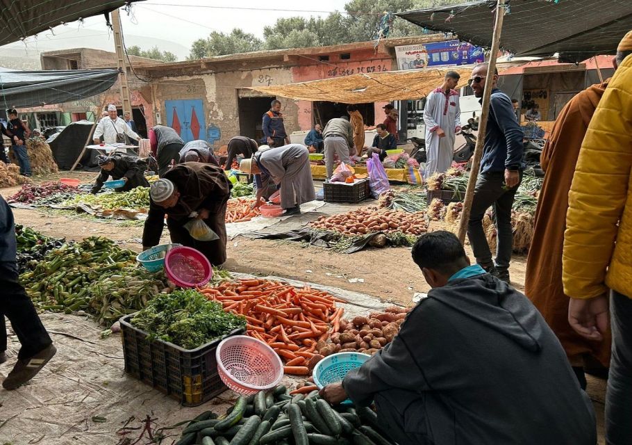 Atlas Mountains: Berber Villages, Waterfalls & Camel Ride - Memorable Moments