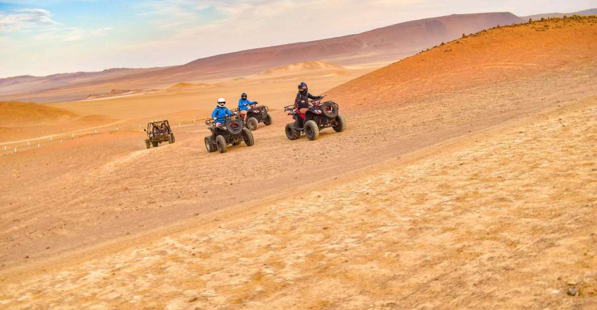 ATV Adventure Ballestas Island and Paracas National Reserve - Activity Highlights