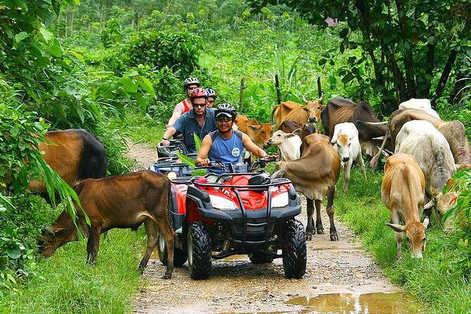 ATV & Buggy Seaview On Tour Phuket Big Buddha Visit - Packing Essentials